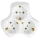Papatya